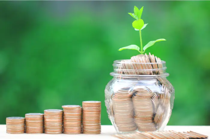 Growise’s Guide to Financing Opportunities for Small Businesses